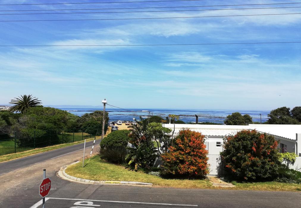 C the C Hermanus